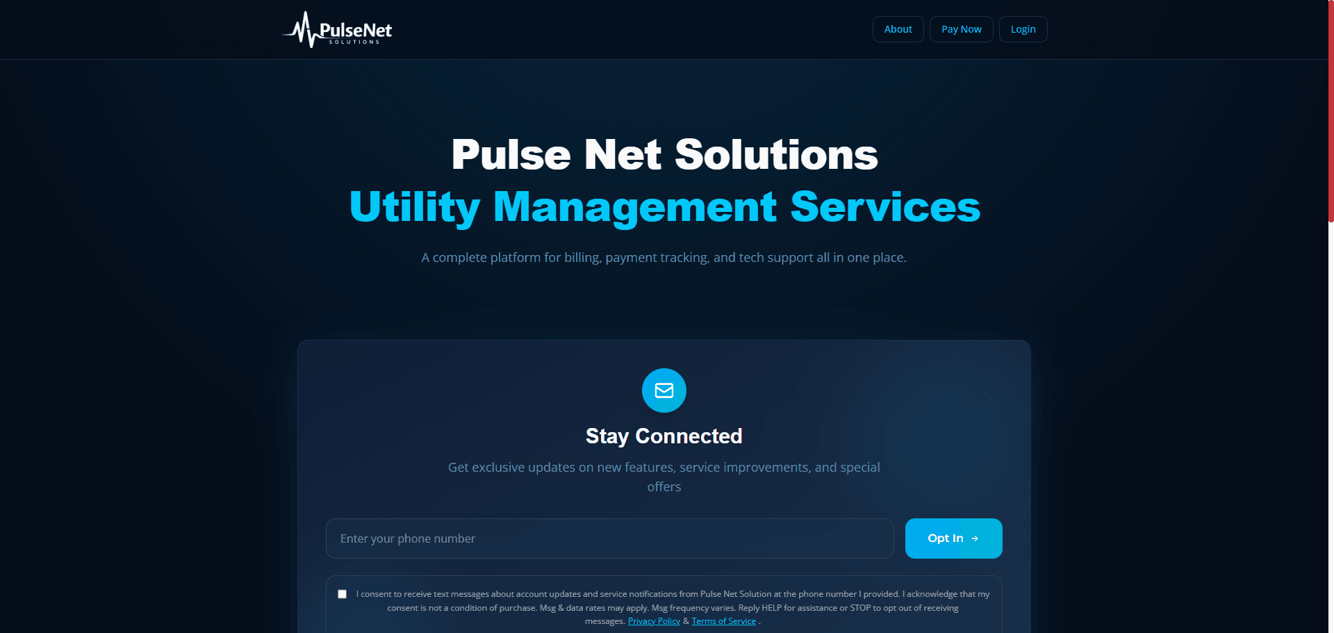 FireShot Capture 009 - Home Page - PulsenetSolutions - [pulsenetsolution.com].png